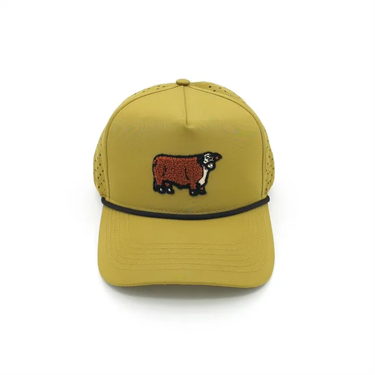 Capiau dylunydd crand